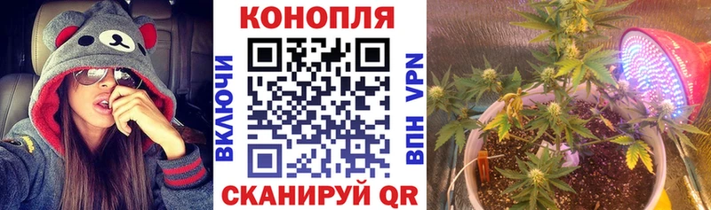 Какие есть наркотики Курчалой Кокаин  Марихуана  Мефедрон  ГАШ 