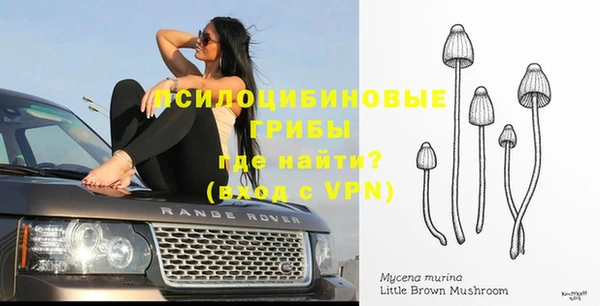 дурь Белокуриха