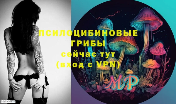 дурь Белокуриха