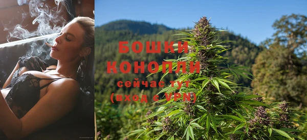 дурь Белокуриха