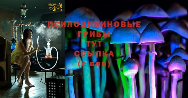 дурь Белокуриха