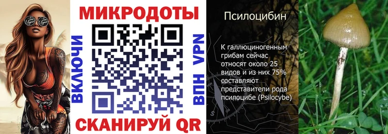 где купить наркотик  Курчалой  Псилоцибиновые грибы ЛСД 